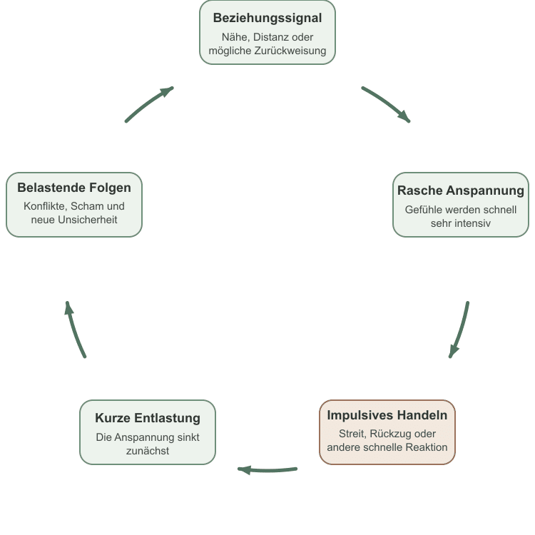 Modell Emotional instabile Persönlichkeitsstörung des Borderline-Typs
